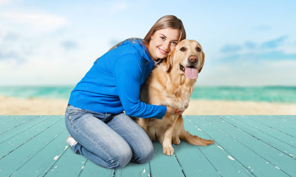 Salty Dog Pet Sitting Lake Norman Pet Sitting